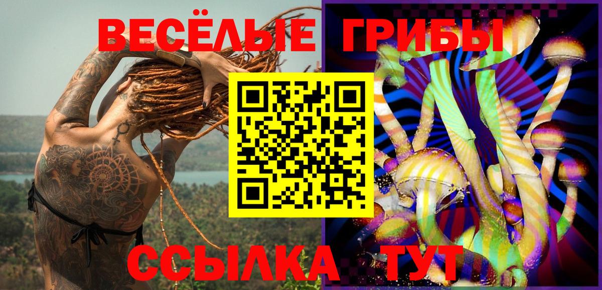Псилоцибиновые грибы Psilocybe  закладки  Рязань  Галлюциногенные грибы прущие грибы  Вход с VPN 